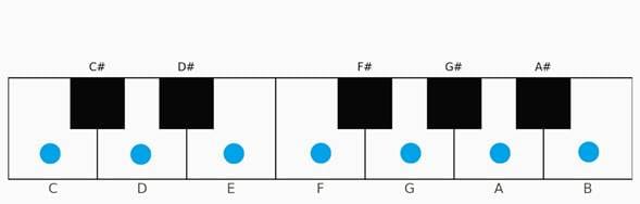 A diagram of a number of dots
AI-generated content may be incorrect.